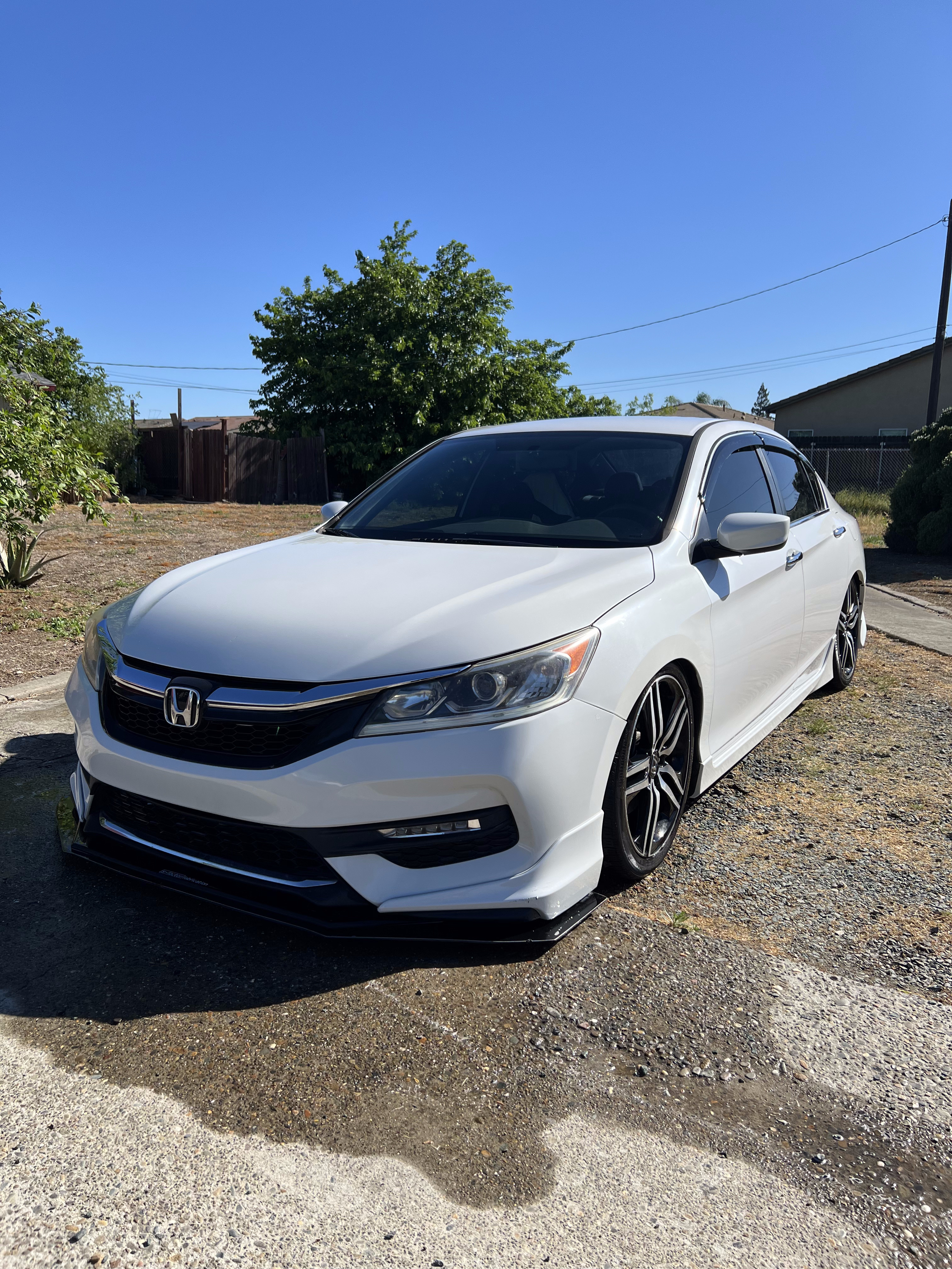 Honda Accord exterior detail